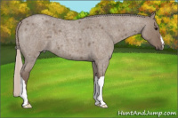 Horse Color:Silver Brown Roan Dun 