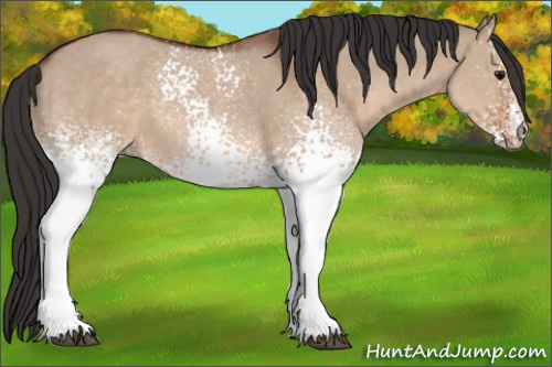 Horse Color: White Spotted Bay Dun 