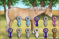 Horse Color:Silver Bay Pearl Sabino