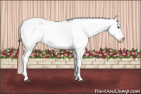 Horse Color:Bay Roan Dun Snowcap 