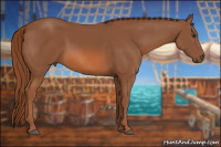 Horse Color:Liver Chestnut 