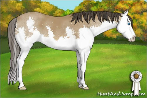 Horse Color: Buckskin Roan Splash 