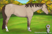Horse Color:Classic Champagne Dun 
