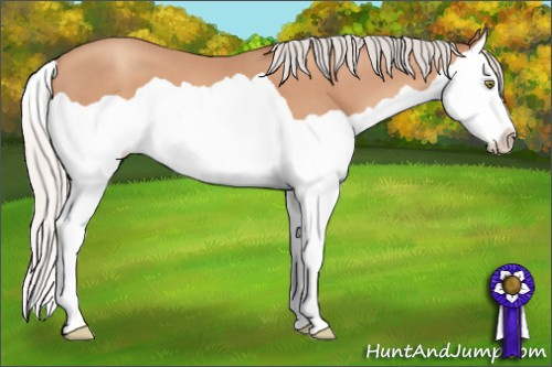 Horse Color: Silver Amber Champagne Splash 