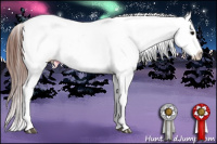 Horse Color:Bay Tobiano Blanket 