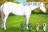 Horse Color:Bay Roan Snowcap 