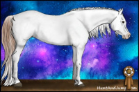 Horse Color:Chestnut Tobiano Blanket 