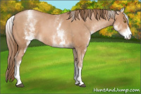 Horse Color:White Spotted Brown Pearl