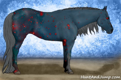 Horse Color: ERROR: UNKNOWN ANOMALY