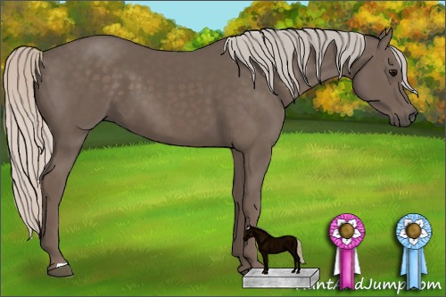 Horse Color: Silver Black 