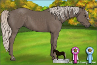 Horse Color:Silver Black 