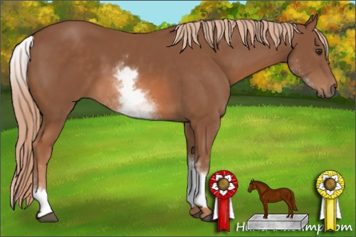 Horse Color: White Spotted Chestnut 