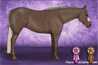 Horse Color:Silver Black 