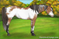 Horse Color:White Spotted Bay Frame 