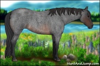 Horse Color:Brown Roan Rabicano