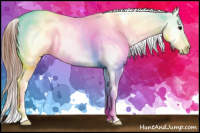 Horse Color:Grullo Appaloosa Rabicano