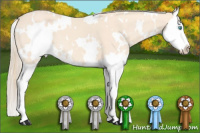 Horse Color:White Spotted Perlino Sabino Splash 