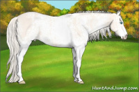 Horse Color:White Spotted Cremello Dun 