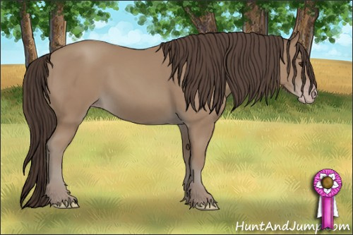 Horse Color: Classic Champagne Rabicano 