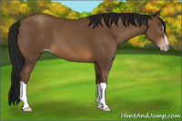 Horse Color:Gray Amber Champagne Splash 