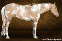 Horse Color:White Spotted Chestnut Pearl 