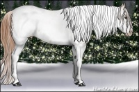 Horse Color:Chestnut Ice Tobiano Frame Blanket 