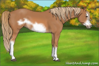 Horse Color:Chestnut Splash Frame 