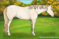 Horse Color:Smoky Grullo Pearl Tobiano 