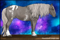 Horse Color:White Spotted Silver Black Blanket Rabicano 
