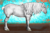 Horse Color:Silver Grullo Blanket Rabicano 