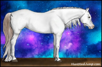 Horse Color:Red Roan Appaloosa 