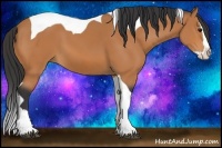 Horse Color:Bay Splash Tobiano 