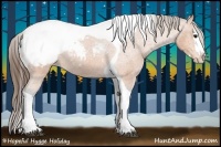 Horse Color:Bay Splash Tobiano Snowcap 