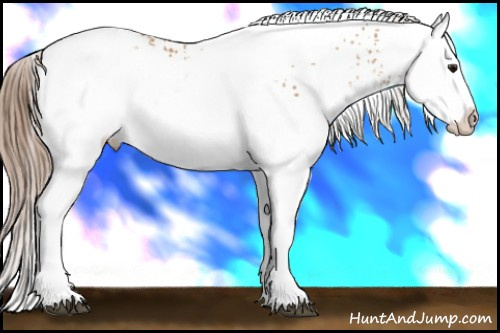 Horse Color: White Spotted Brown Pearl Splash Rabicano 