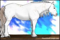 Horse Color:White Spotted Brown Pearl Splash Rabicano