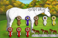 Horse Color:Black Sabino Splash 