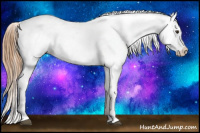 Horse Color:Chestnut Appaloosa 