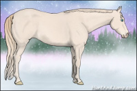 Horse Color:Perlino 