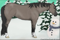 Horse Color:Brown Dun 