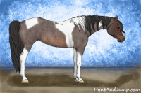 Horse Color:Bay Roan Tobiano 