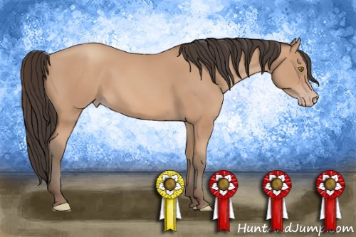 Horse Color: Amber Champagne 