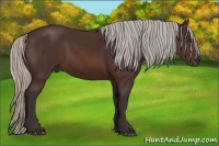 Horse Color:Silver Brown 