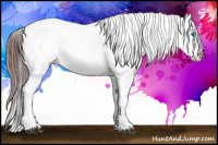 Horse Color:Bay Tobiano Frame Appaloosa