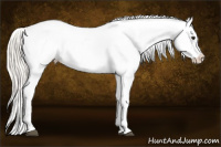 Horse Color:Silver Buckskin Roan Blanket 