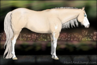 Horse Color:Silver Buckskin Pearl Dun Sabino