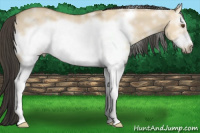 Horse Color:White Spotted Buckskin Dun Sabino Frame 