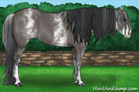 Horse Color:White Spotted Brown Dun Sabino