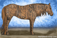 Horse Color:Black  Brindle