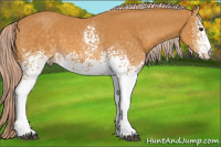 Horse Color:White Spotted Chocolate Palomino 