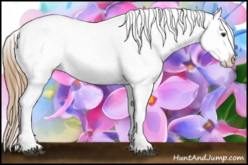 Horse Color: Red Dun Blanket 